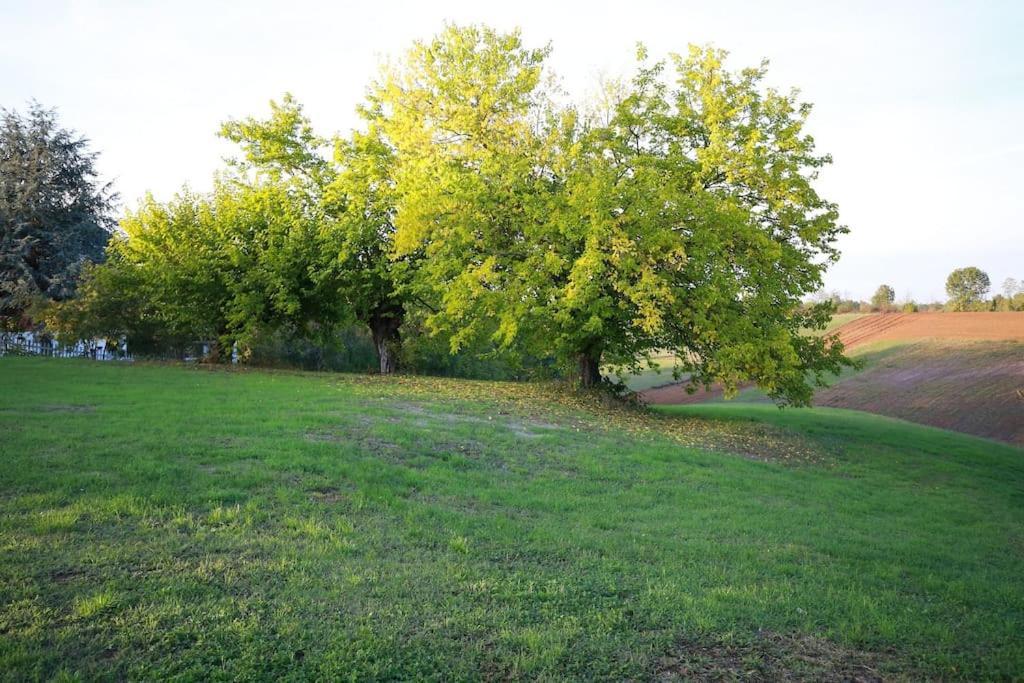 Villa Beatrice Pralormo Eksteriør billede